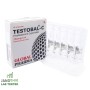 Testosteron Cypionat