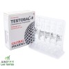 Testosteron Propionat
