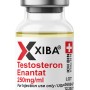 Testosteron Enantat